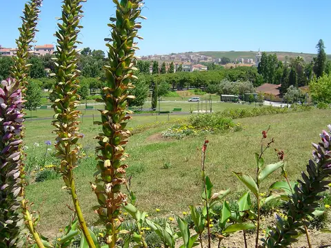 Vista do parque urbano com relvado, canteiros floridos e árvores, com a cidade ao fundo
