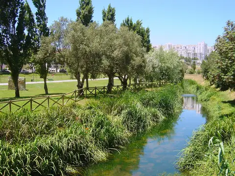 Ribeira ladeada de vegetação e árvores num parque urbano relvado, com prédios ao fundo