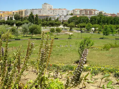 Parque urbano com relvados, canteiros floridos e árvores, com prédios ao fundo