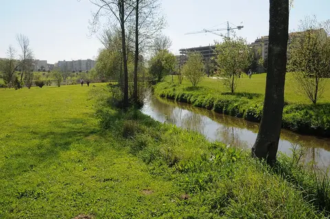 Ribeiro a atravessar relvados arborizados do Parque da Devesa, com edifícios ao fundo