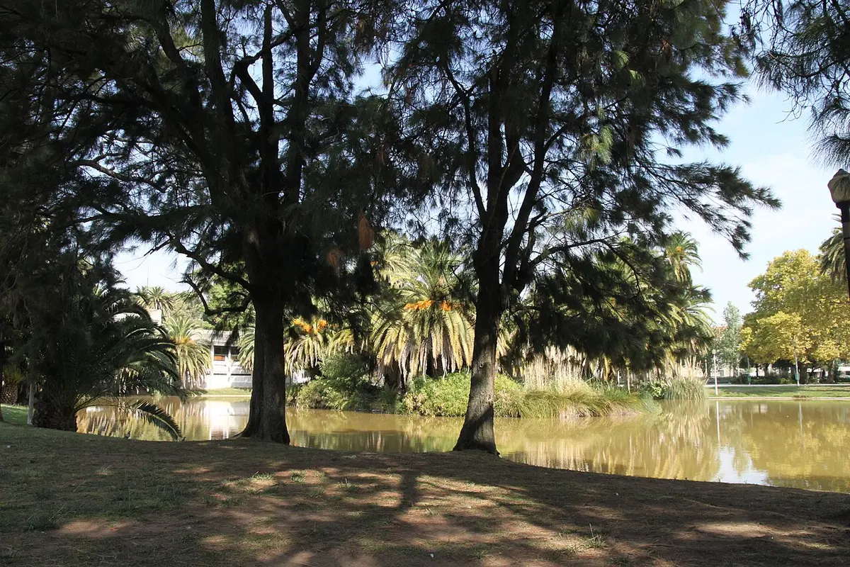 Lago do jardim rodeado de árvores e palmeiras, com relva à sombra em primeiro plano