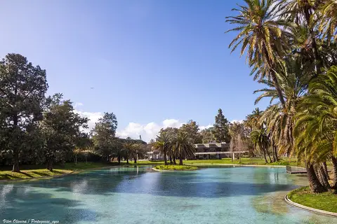 Lago do Jardim Mário Soares rodeado de palmeiras e relva, com céu azul