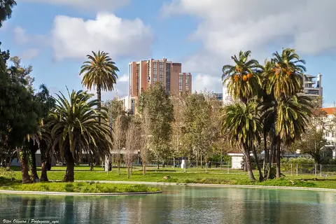 Lago do Jardim Mário Soares com palmeiras e relvado, e edifícios da cidade ao fundo