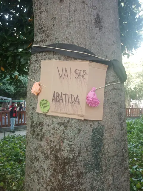 Tronco de árvore no Jardim da Parada com cartaz de cartão onde se lê "Vai ser abatida".