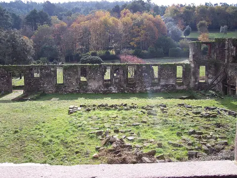 Ruínas do refeitório do Mosteiro de São Martinho de Tibães, com muros de pedra e relva