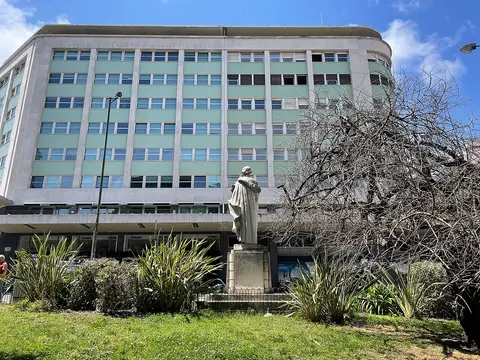 Jardim Camilo Castelo Branco com estátua e relva, diante de edifício moderno de fachada clara