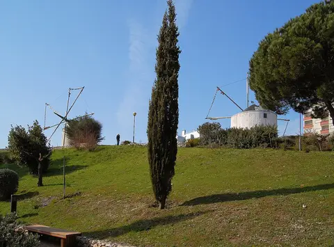 Moinhos de vento brancos no alto de uma colina relvada com ciprestes, no Parque dos Moinhos de Santana