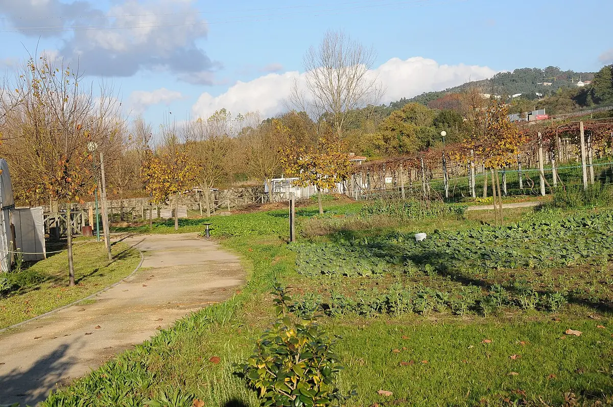 Caminho de terra entre hortas e vinha na Quinta Pedagógica de Braga, com árvores de outono
