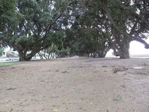 Jardim da Avenida de Montevideu com árvores antigas e chão de areia junto ao miradouro