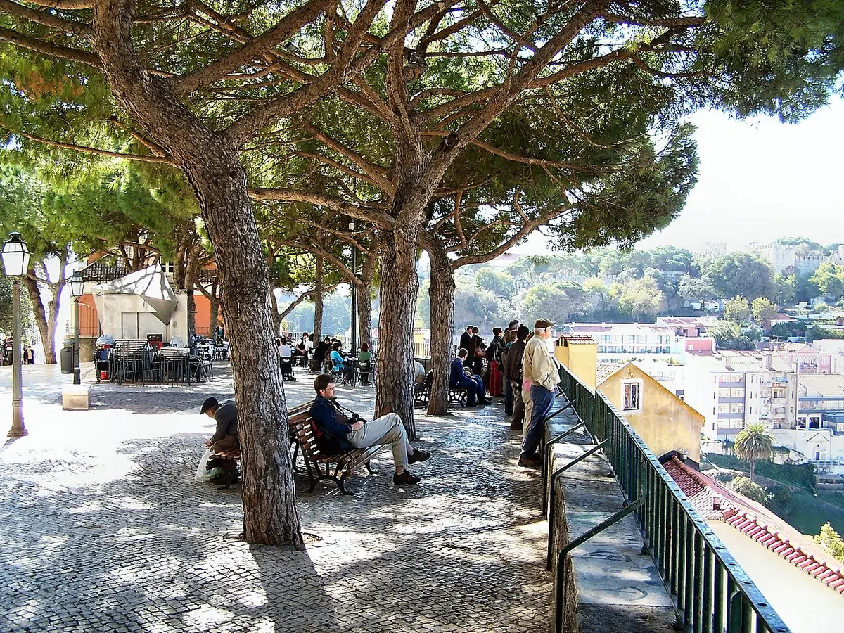 Miradouro da Graça com pinheiros, esplanada e visitantes junto à grade, com vista sobre Lisboa