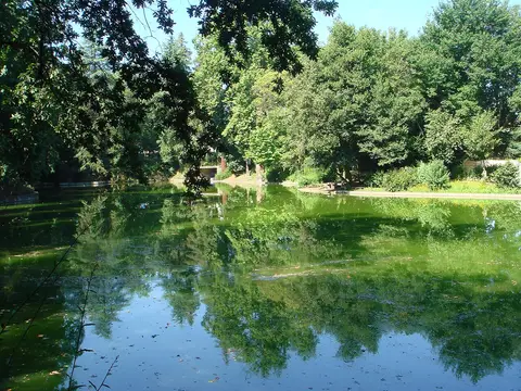 Lago rodeado de árvores frondosas no Parque da Ponte, com reflexos na água