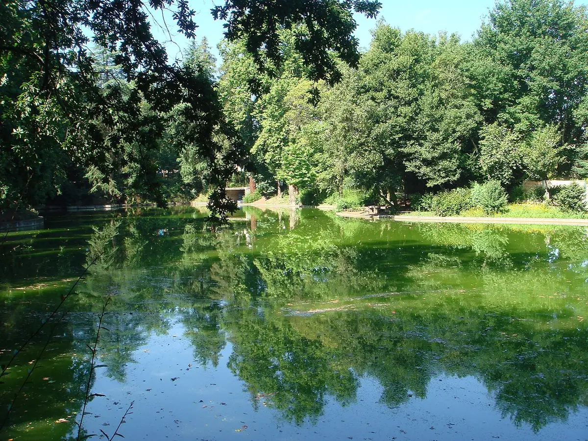 Lago rodeado de árvores frondosas no Parque da Ponte, com reflexos na água