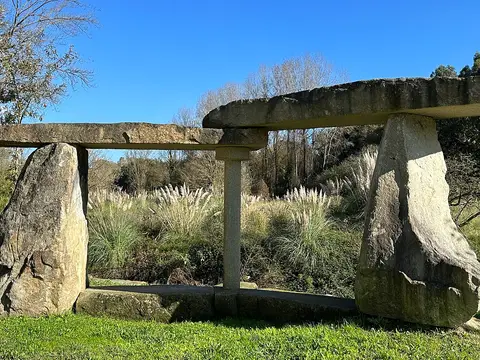 Estrutura de pedra granítica sobre relva num parque, com canas e vegetação ao fundo e céu azul.