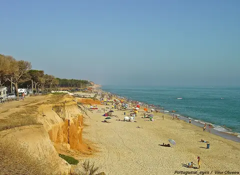 Praia extensa junto a arribas arenosas e pinhal, com banhistas e chapéus de sol ao longe