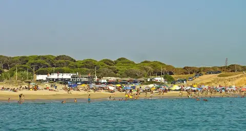 Praia do Forte Novo vista do mar, com areal, chapéus de sol coloridos e pinhal ao fundo