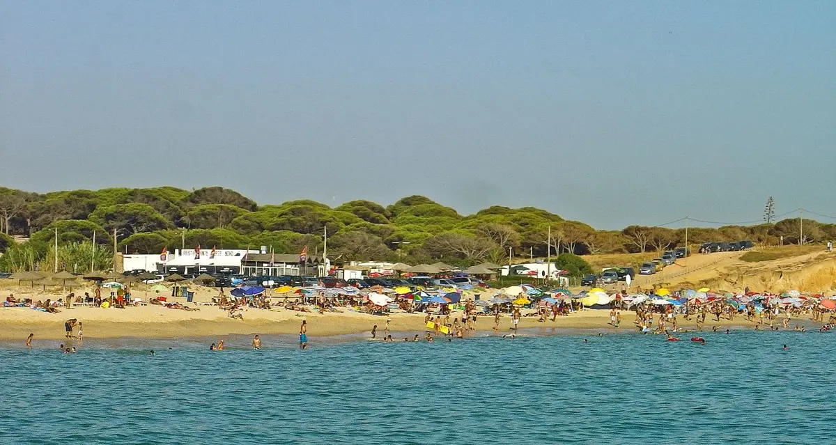 Praia do Forte Novo vista do mar, com areal, chapéus de sol coloridos e pinhal ao fundo