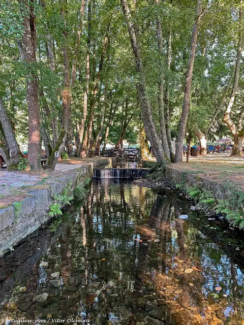 Curso de água com pequeno açude junto à praia fluvial de Sandomil, rodeado de árvores frondosas