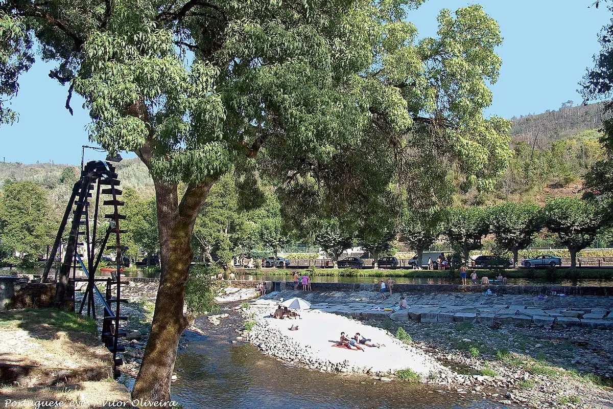 Praia fluvial de Sandomil com areal junto ao rio, árvores frondosas e banhistas ao longe