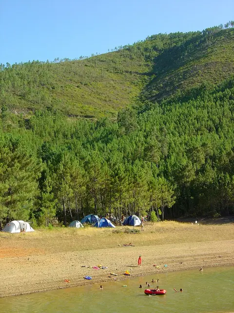 Praia fluvial de Fernandaires na albufeira de Castelo de Bode, com tendas e encosta de pinhal