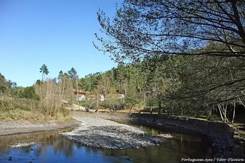 Praia fluvial do Pego das Cancelas, com rio, banco de seixos e pinhal em redor