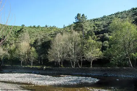 Praia fluvial do Pego das Cancelas, com margem de seixos, rio e encosta arborizada