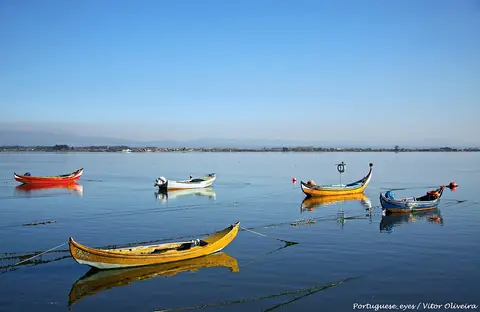 Barcos moliceiros coloridos parados nas águas calmas da Ria de Aveiro sob céu azul