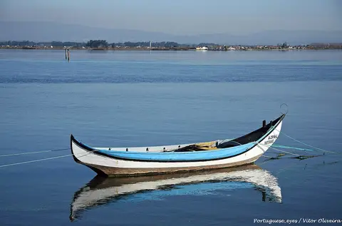 Barco tradicional branco e azul ancorado nas águas calmas da Ria de Aveiro