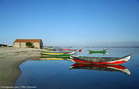 Barcos moliceiros coloridos junto à margem da Ria de Aveiro, com armazém antigo ao fundo