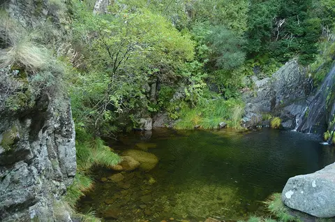 Poço de água cristalina rodeado de rochas e vegetação densa no Poço do Inferno