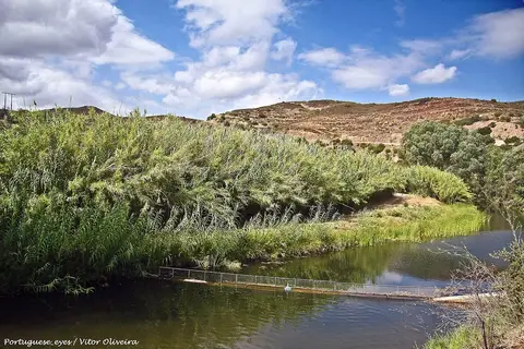 Praia fluvial do Pego Fundo, em Alcoutim, com águas calmas rodeadas de canaviais e colinas