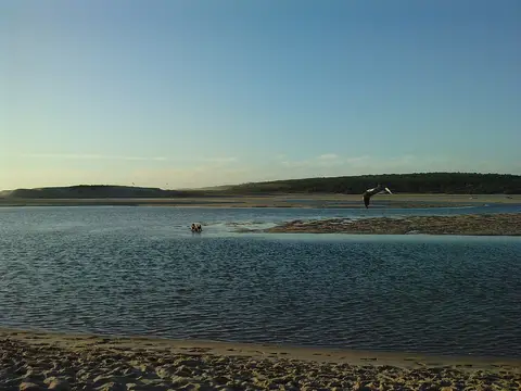 Lagoa de Albufeira ao entardecer, com areal em primeiro plano, água calma e ave em voo.
