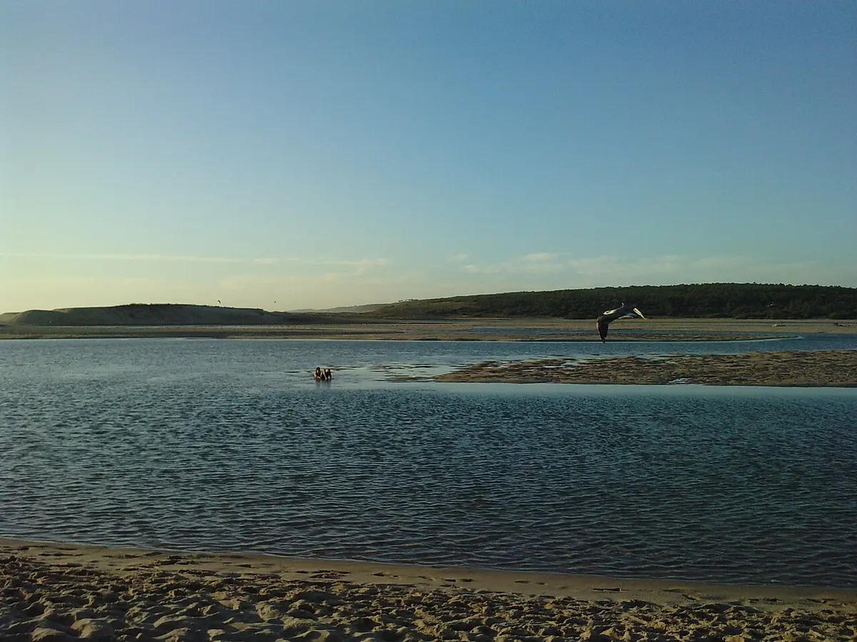 Lagoa de Albufeira ao entardecer, com areal em primeiro plano, água calma e ave em voo.