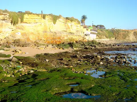 Praia rochosa com poças de maré e algas verdes junto a falésias douradas em S. Pedro do Estoril
