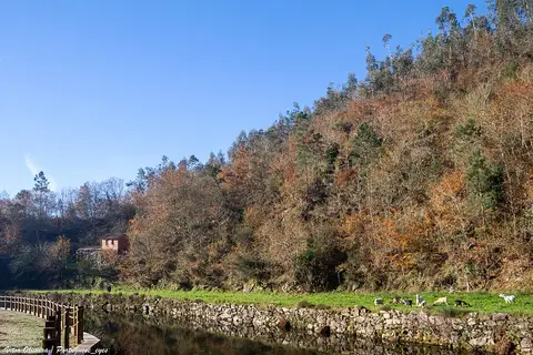 Praia fluvial da Carriça com passadiço de madeira, muro de pedra e encosta arborizada outonal