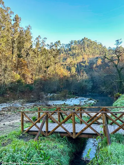 Ponte de madeira sobre ribeiro na praia fluvial da Carriça, com rio e mata ao fundo