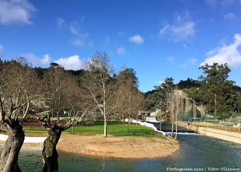 Praia fluvial dos Olhos de Água do Alviela, com relvado, árvores e o rio em dia de céu azul
