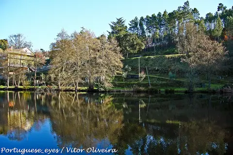 Rio Mondego em Ponte de Juncais, com árvores e encosta arborizada refletidas na água