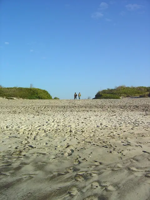 Areal extenso da praia do Torrão do Lameiro com dunas cobertas de vegetação e céu azul