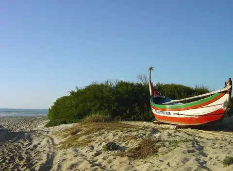 Barco de pesca tradicional colorido pousado na areia da praia do Torrão do Lameiro, junto à vegetação dunar