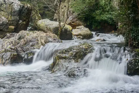Quedas de água sobre rochas no rio, rodeadas de vegetação, nas Fragas de S. Simão