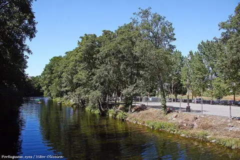Rio calmo ladeado por árvores frondosas junto à praia fluvial de Aldeia Viçosa, com zona vedada na margem.