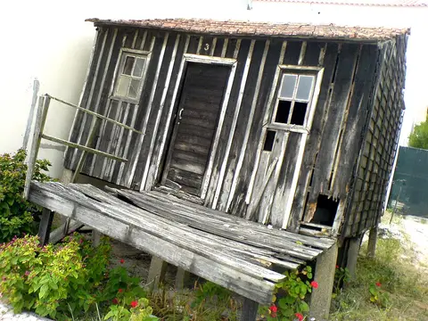 Palheiro de madeira antigo, típico da Praia da Tocha, assente sobre estacas e rodeado de vegetação