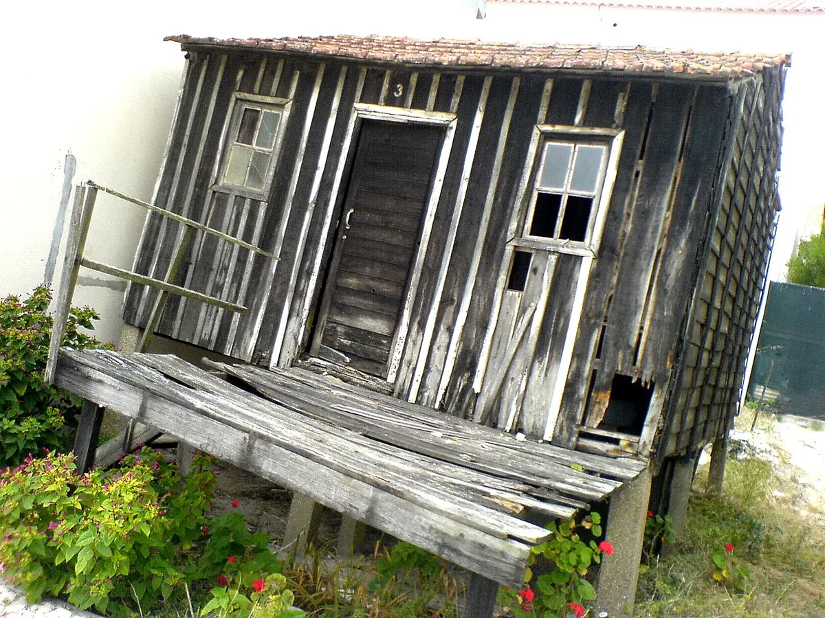 Palheiro de madeira antigo, típico da Praia da Tocha, assente sobre estacas e rodeado de vegetação