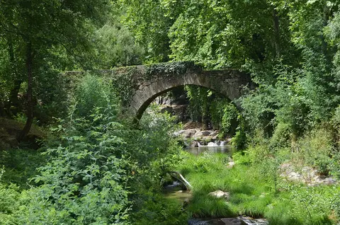 Ponte de pedra em arco sobre ribeiro rodeada de vegetação densa em Cavez