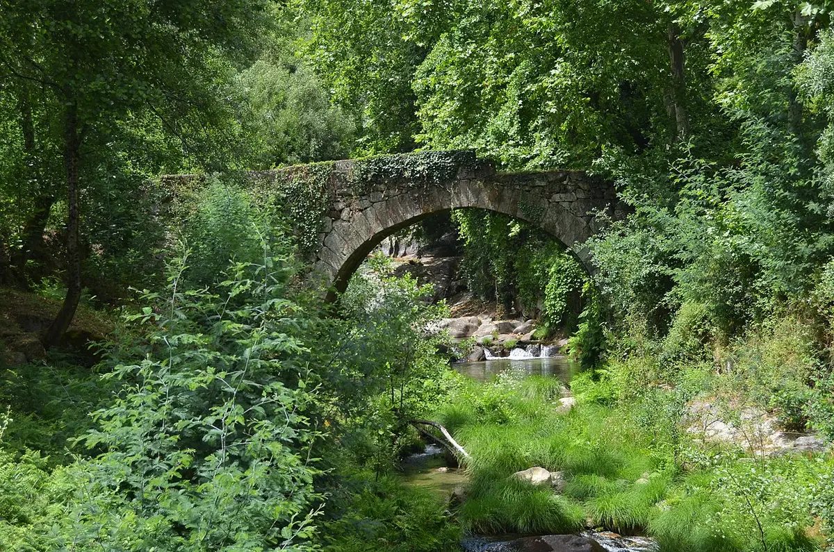 Ponte de pedra em arco sobre ribeiro rodeada de vegetação densa em Cavez