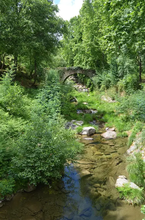Ponte de pedra em arco sobre ribeiro de águas claras, rodeada de vegetação verde em Cavez