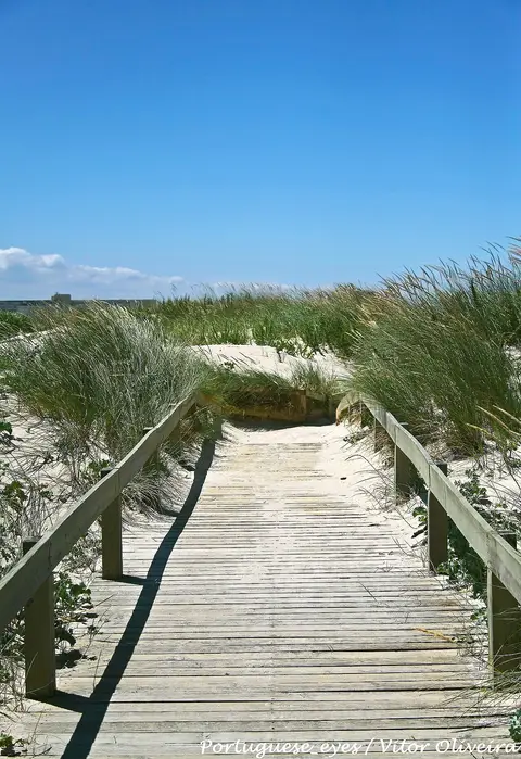 Passadiço de madeira entre dunas com vegetação, a caminho da praia, sob céu azul