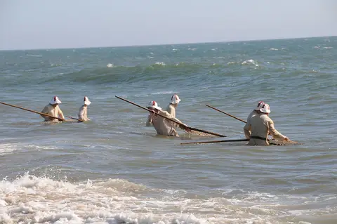 Apanhadores de sargaço com varas dentro do mar, na praia de Apúlia