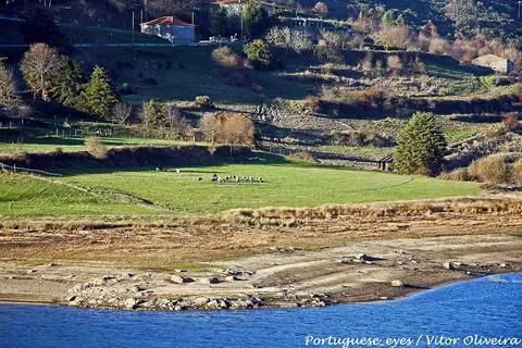 Margem da albufeira do Caldeirão com pedras, água azul e encosta verde com casas e rebanho