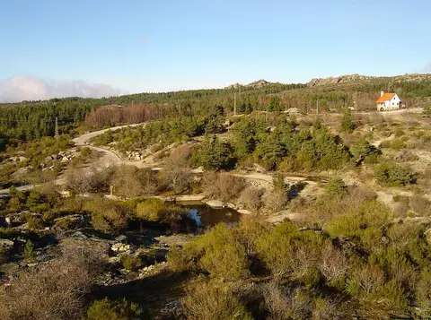 Paisagem serrana do Vale do Rossim com pinhal, rochedos, pequeno curso de água e casa branca ao fundo